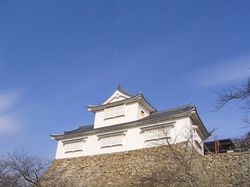 【図7】